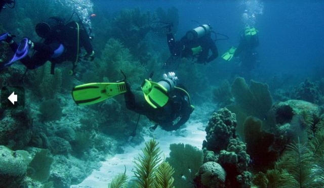  Alacranes Reef 